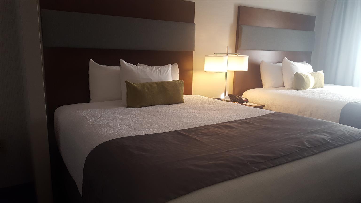Best Western Plus Boston Hotel Luaran gambar